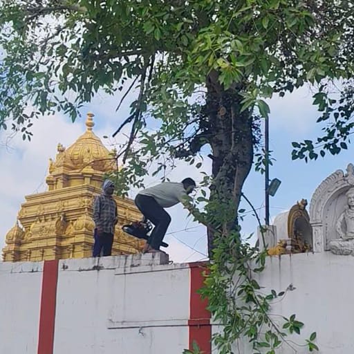 Garuda-Tree-Cutting-Services11.jpg