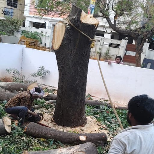 Garuda-Tree-Cutting-Services20.jpg