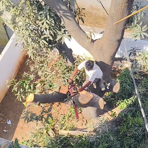 Garuda-Tree-Cutting-Services21.jpg