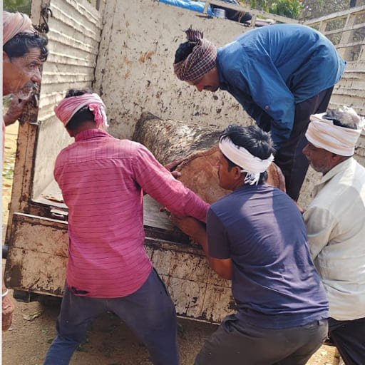 Garuda-Tree-Cutting-Services23.jpg