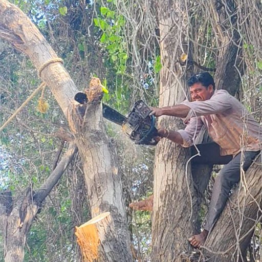 Garuda-Tree-Cutting-Services26.jpg