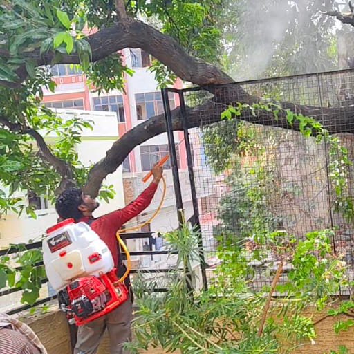 Garuda-Tree-Cutting-Services3.jpg