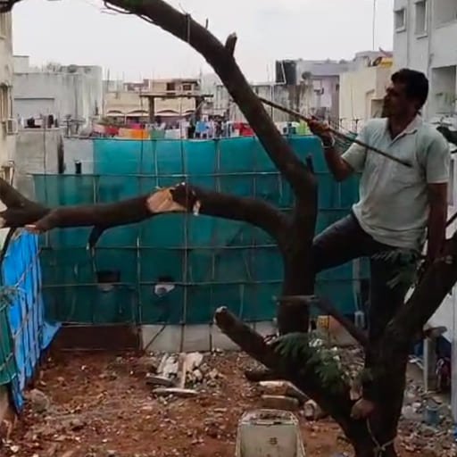 Garuda-Tree-Cutting-Services32.jpg