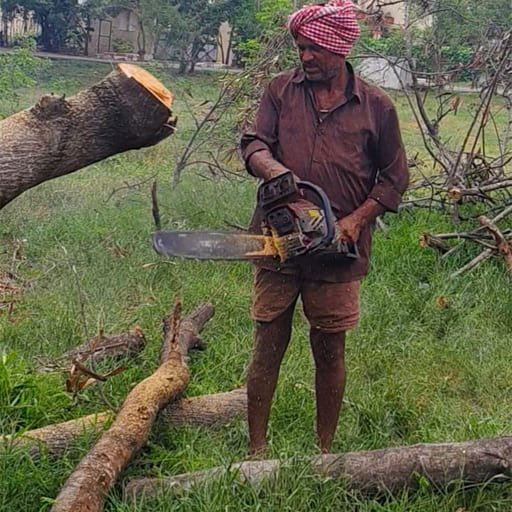 Garuda-Tree-Cutting-Services42.jpg