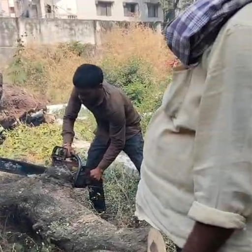 Garuda-Tree-Cutting-Services7.jpg