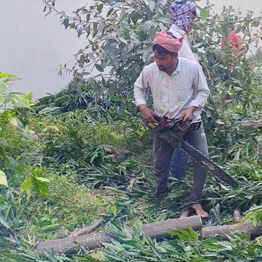 Garuda-Tree-Cutting-Services9.jpg